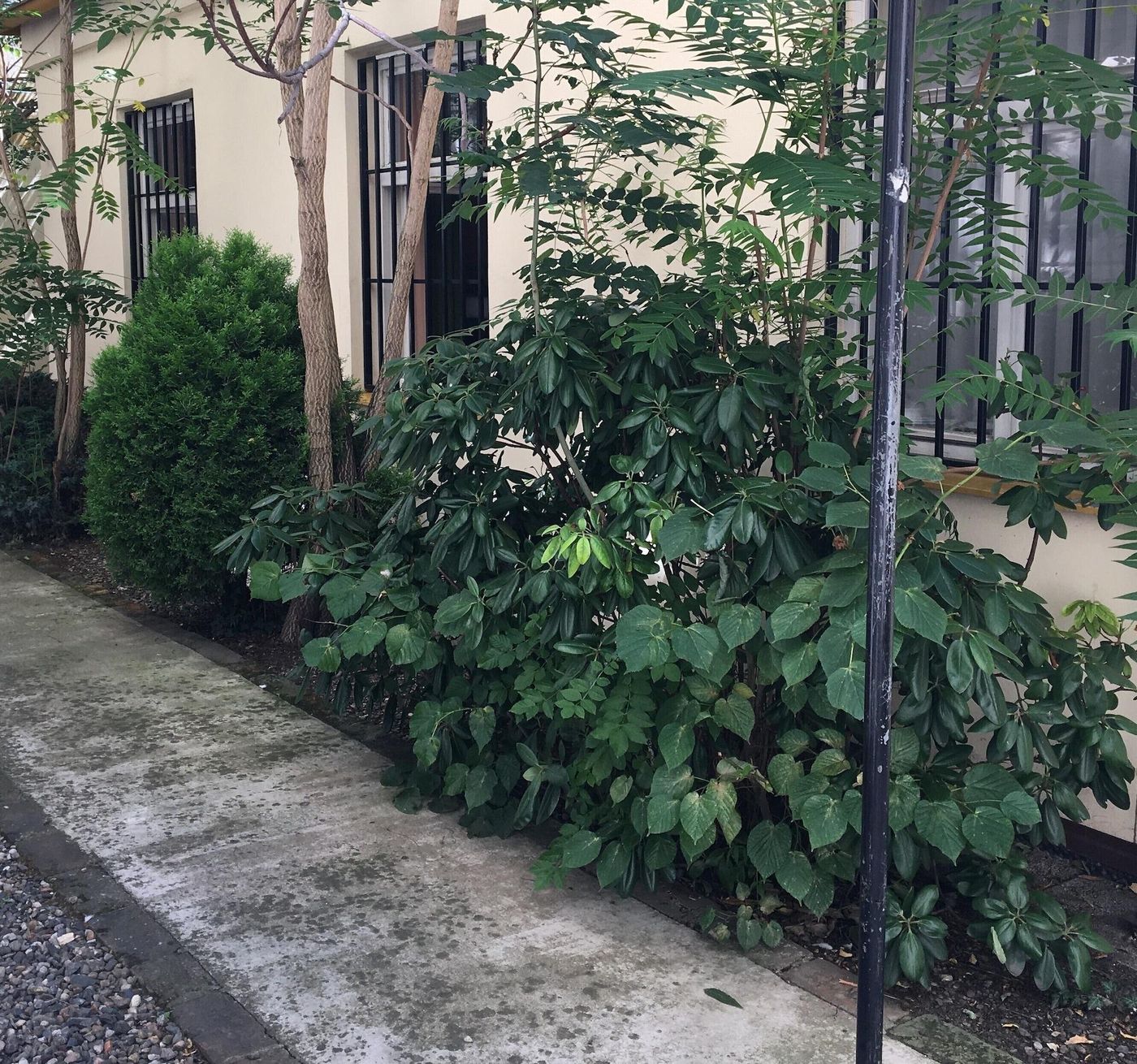 Pension-City-Center---L-Opera-Room-3