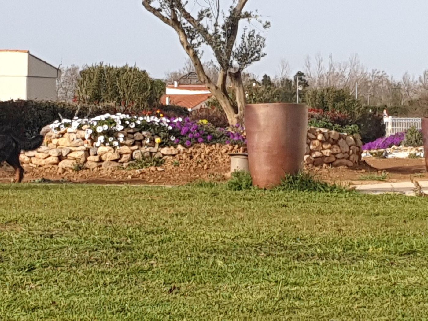 Hôtel restaurant l'Espassole-France-THUIR-General view-5