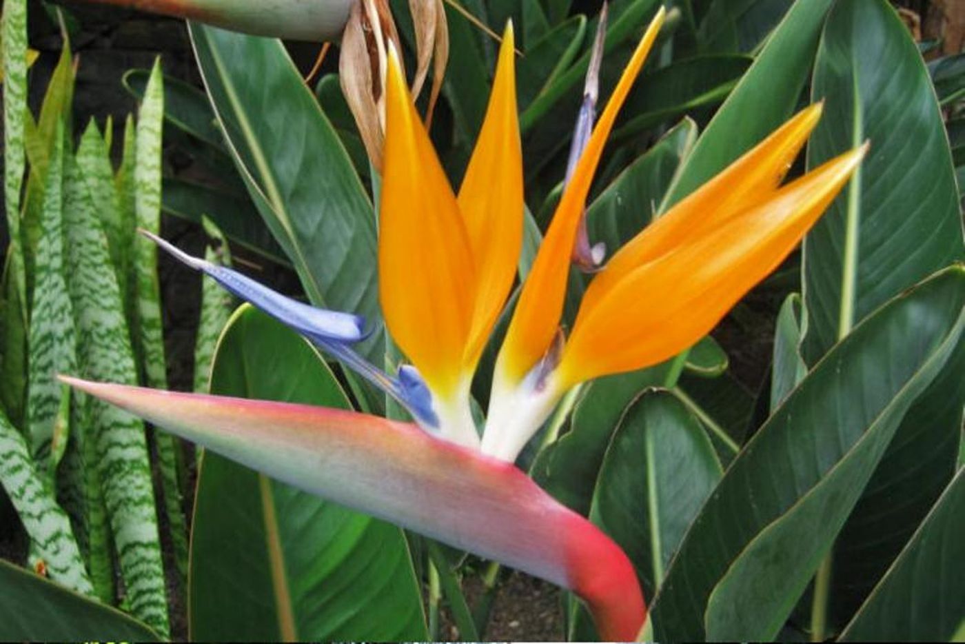 Vila-Ventura-General-view-5