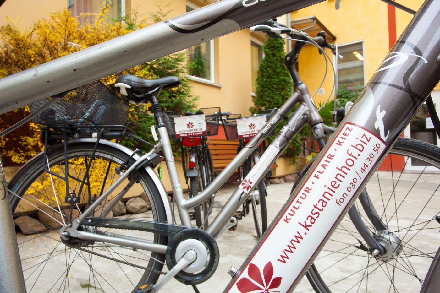 Hotel-Pension-Kastanienhof-Sports-and-Entertainment-3