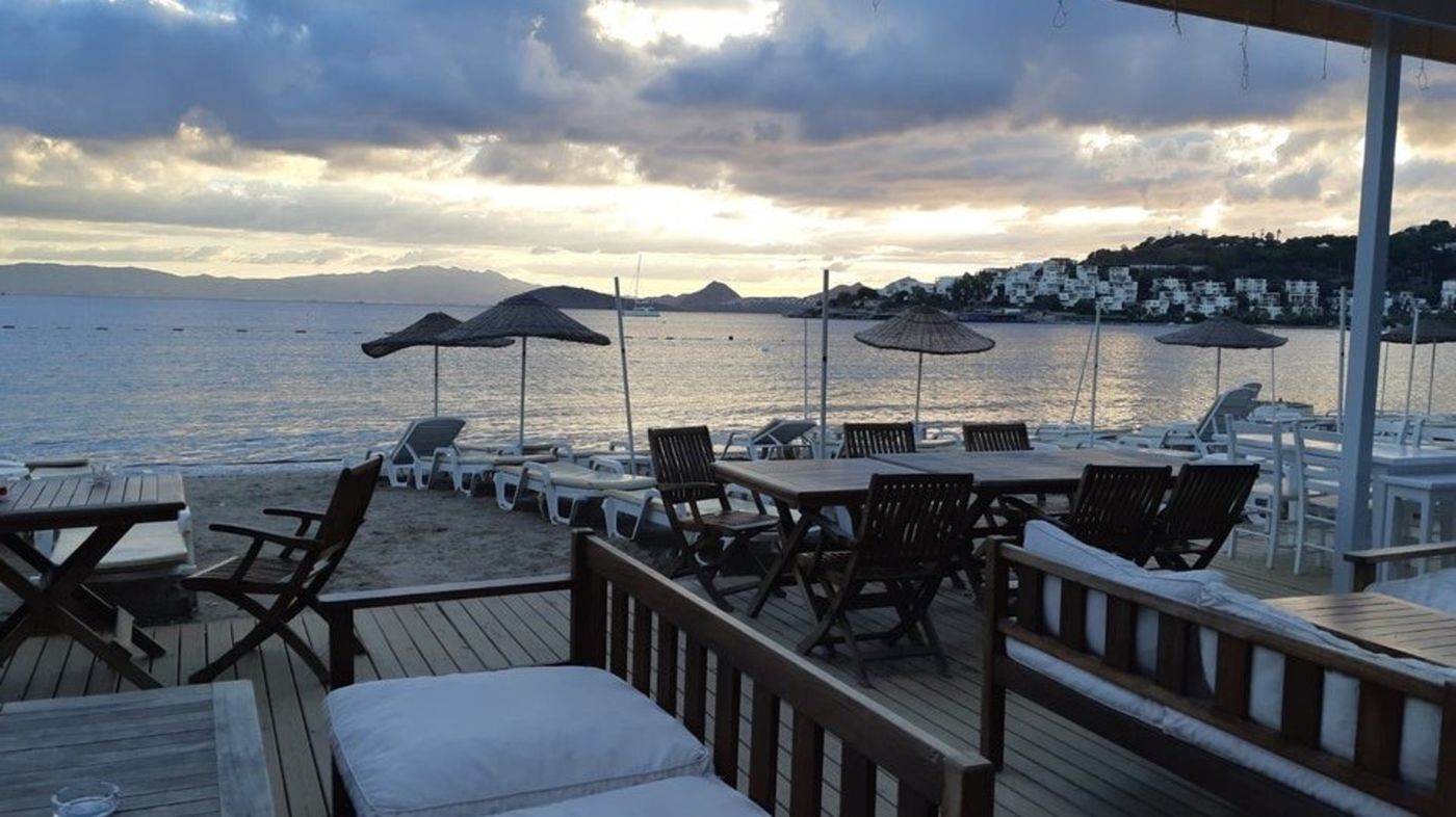 Bitez-Garden-Life-General-view-59