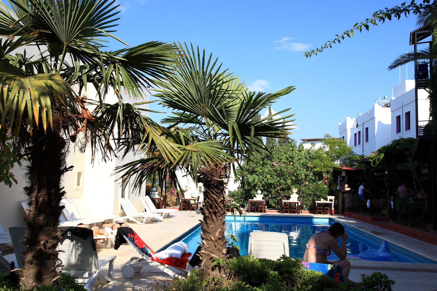 Paloma-General-view-4