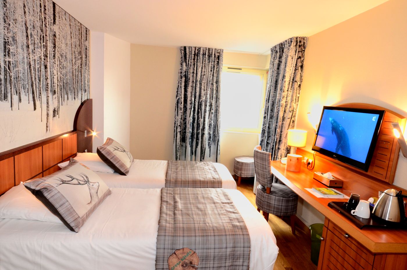 Green-Hotels-Confort-Paris-13-Room-5