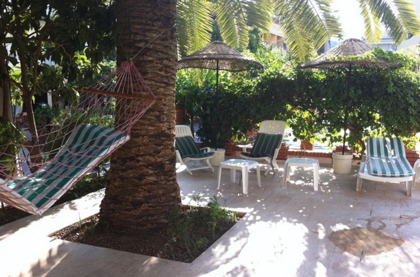 Green-Palm-Hotel-Terrace-28