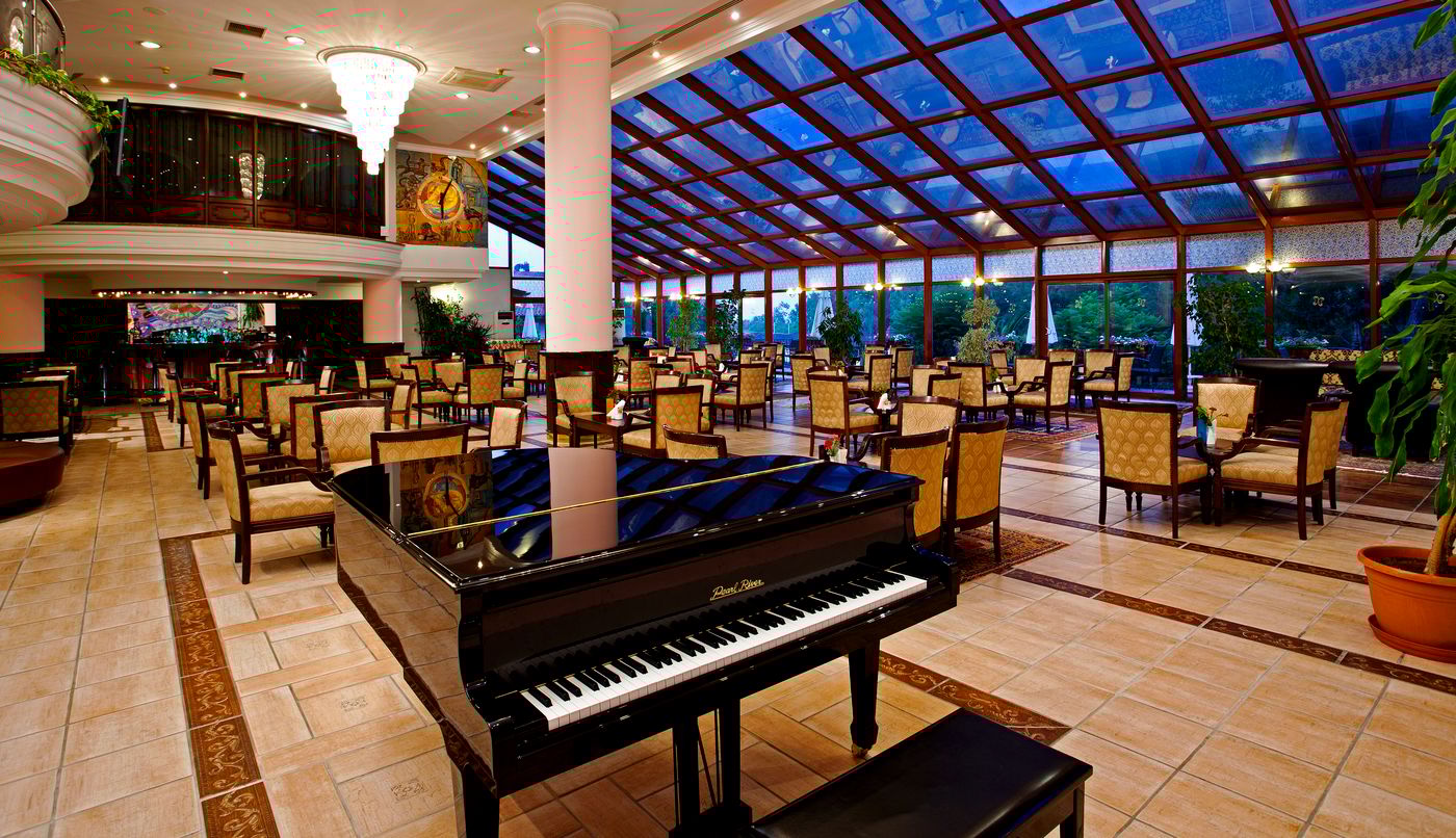 Papillon-Belvil-Bar-64