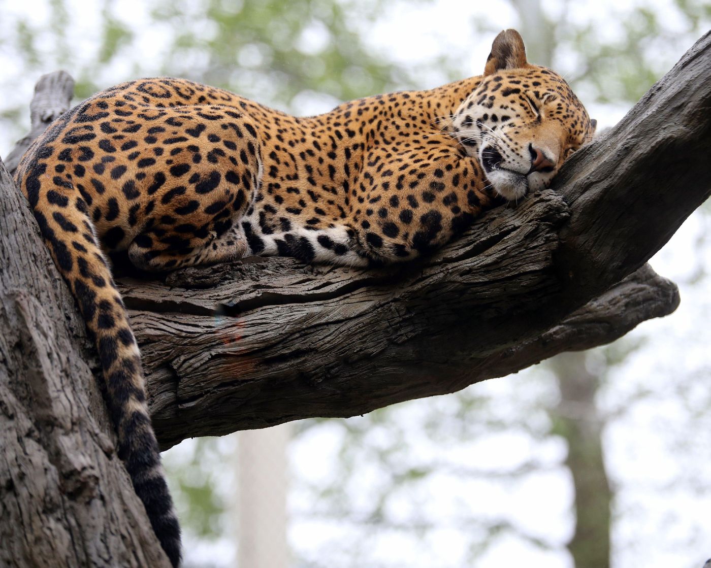 Holiday Inn Lansdale-United States-KULPSVILLE -General view-7