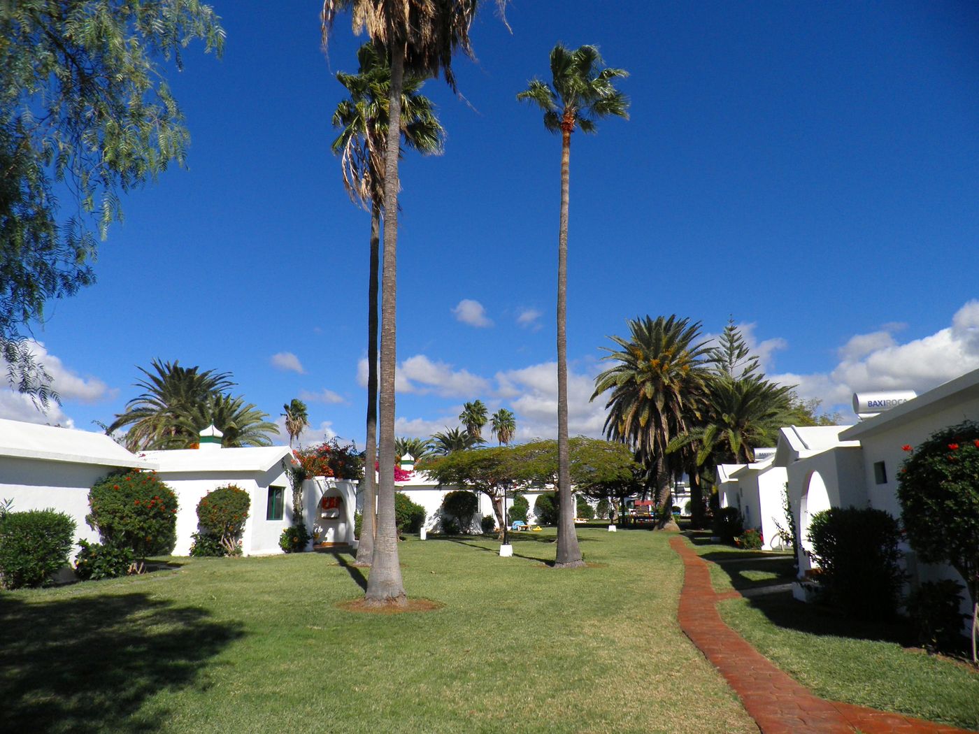 Canary-Garden-Club-General-view-22