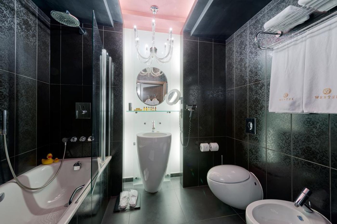 Wentzl-General-view-25