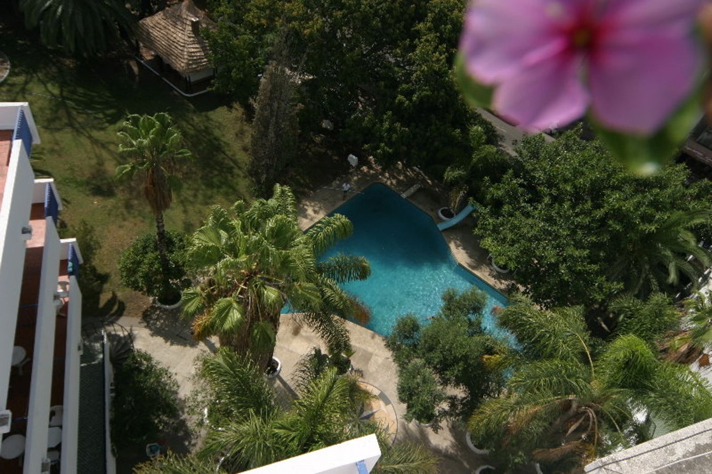 Chellah-Morocco-TANGIER-Pool-4