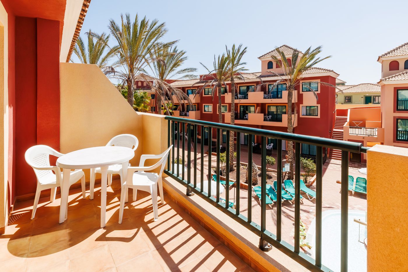 O7 Aloe Corralejo-769 FAM.jpg