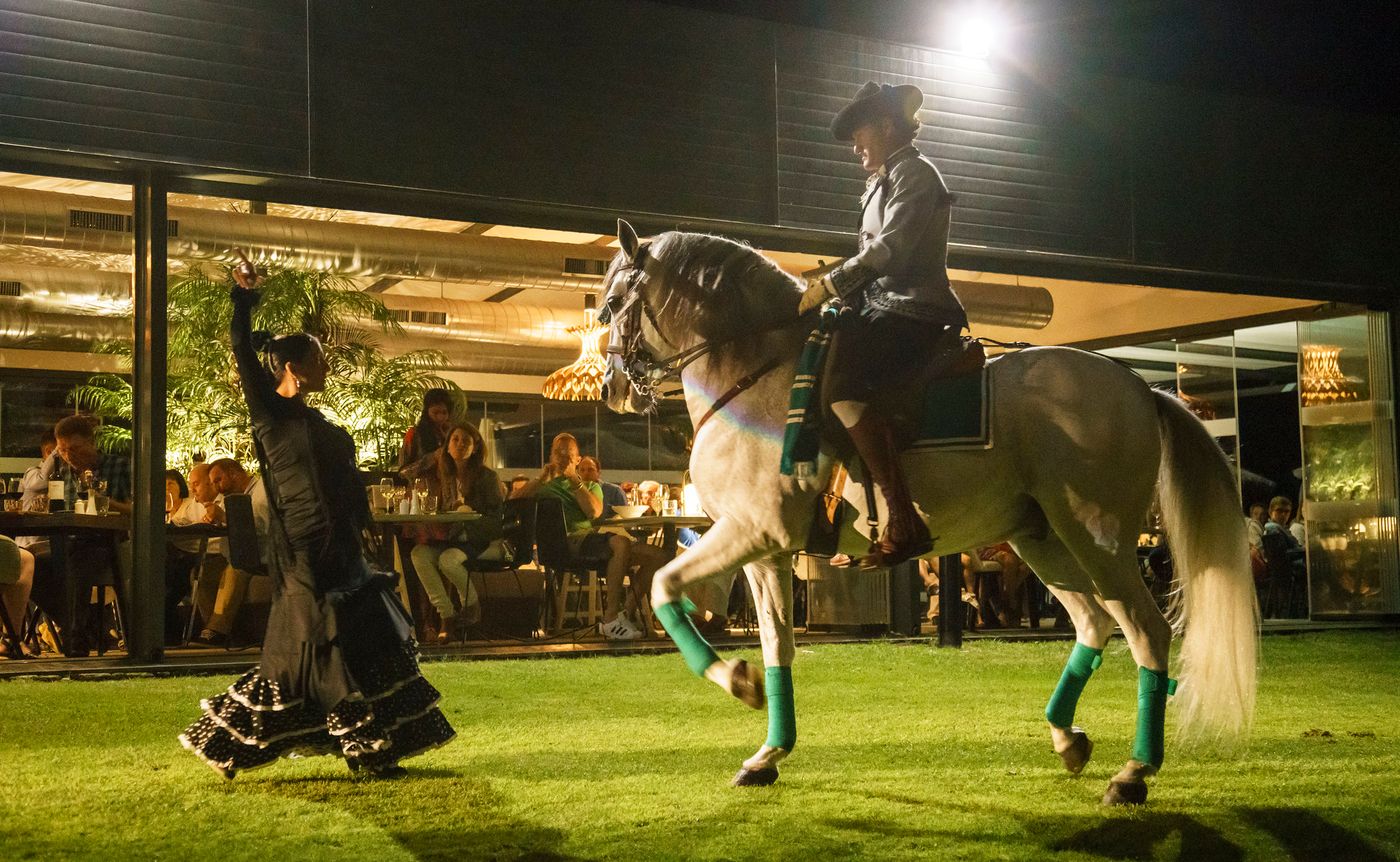 Ilunion-Calas-de-Conil-Sports-and-Entertainment-57