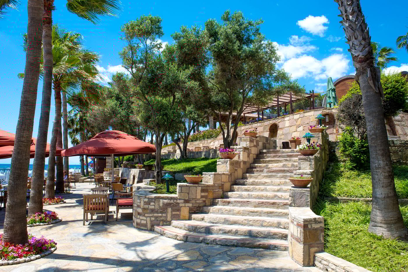 Arum Barut Collection