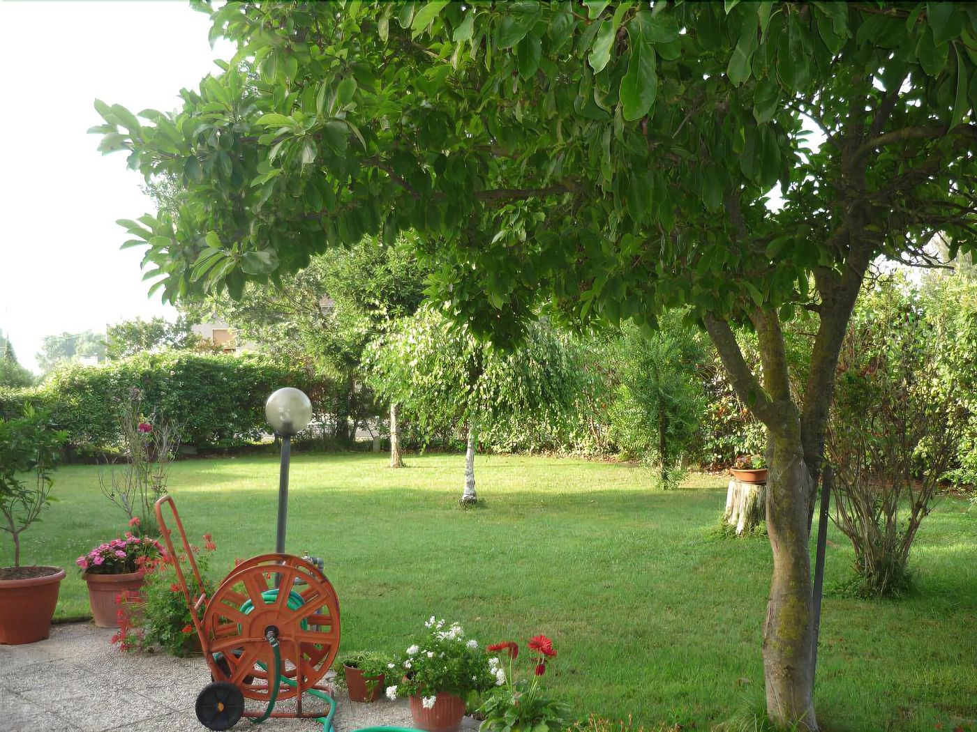 B&B Residenza di Campagna-Italy-ASSISI-General view-6