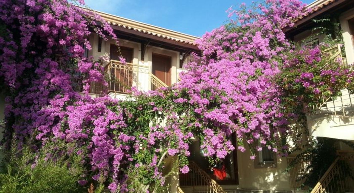 Moonshine Apartments