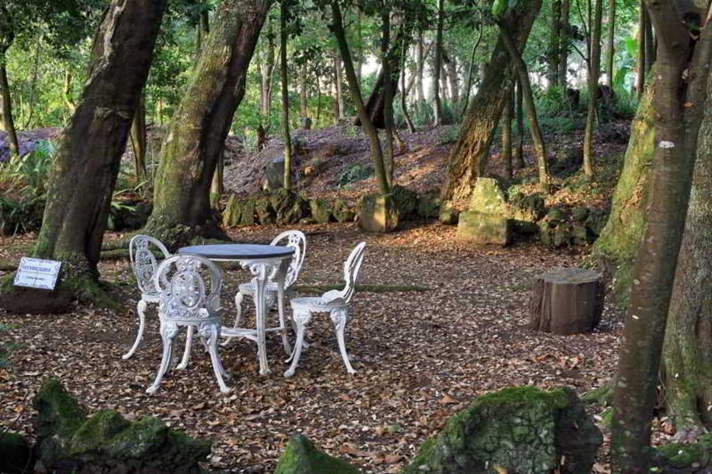 Solar-Do-Conde-Terrace-5