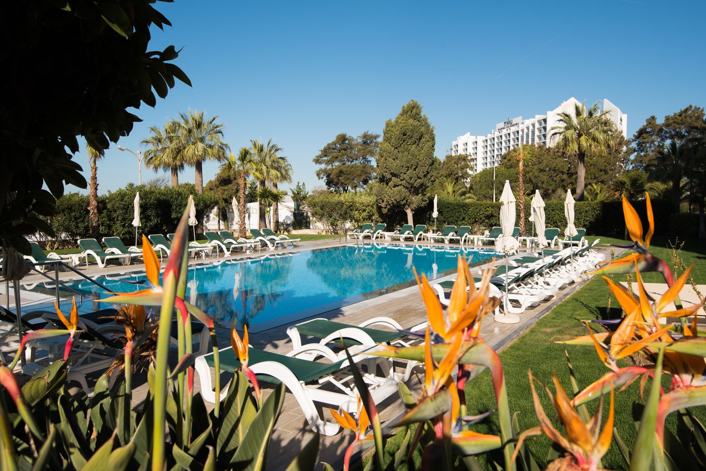 Vila-Gale-Ampalius-Pool-6