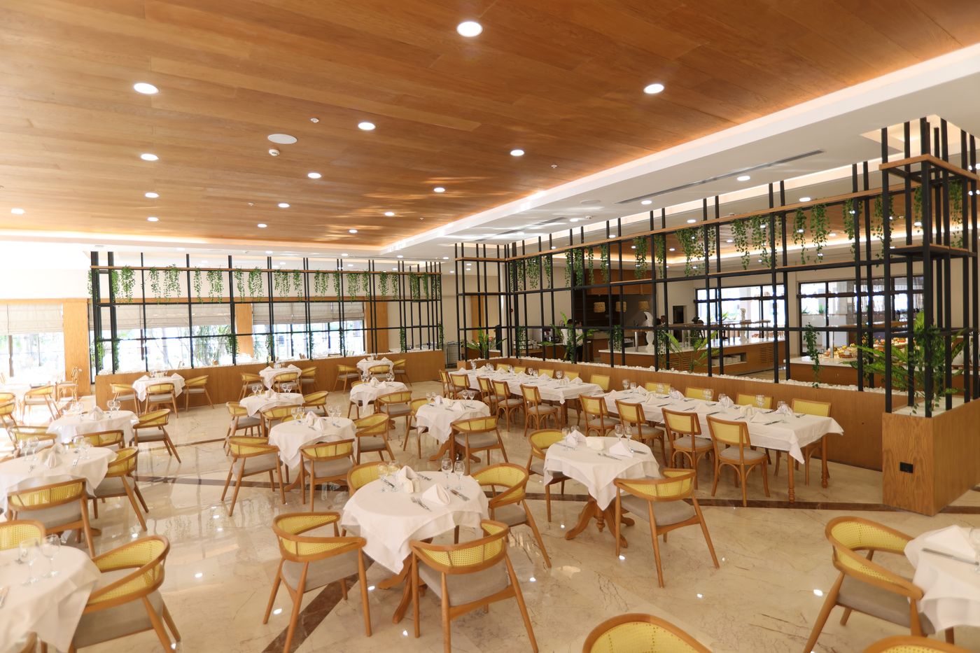 SIU Collection by Aydinbey