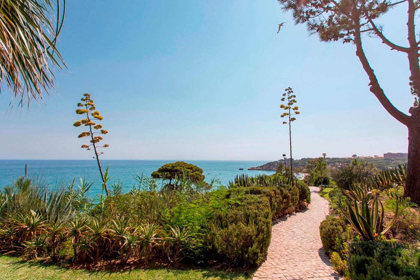 Alfagar-Village-General-view-63