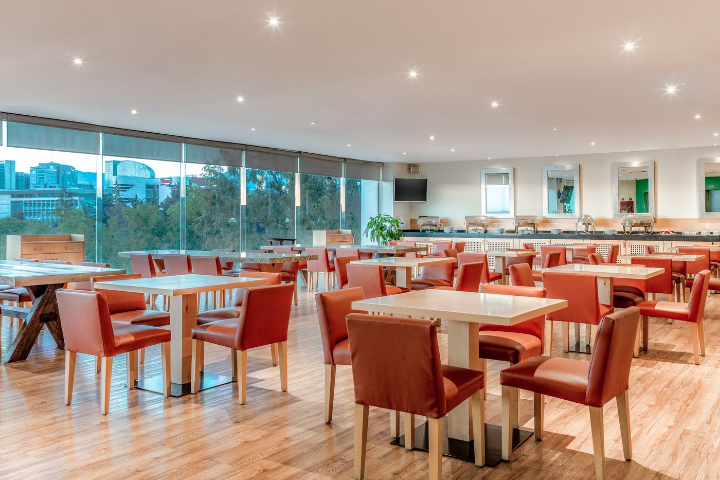 Gamma Ciudad de México Santa Fe-Mexico-MEXICO DF-Restaurant-6