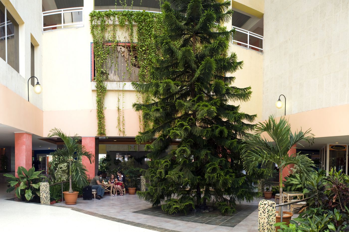 Occidental Arenas Blancas