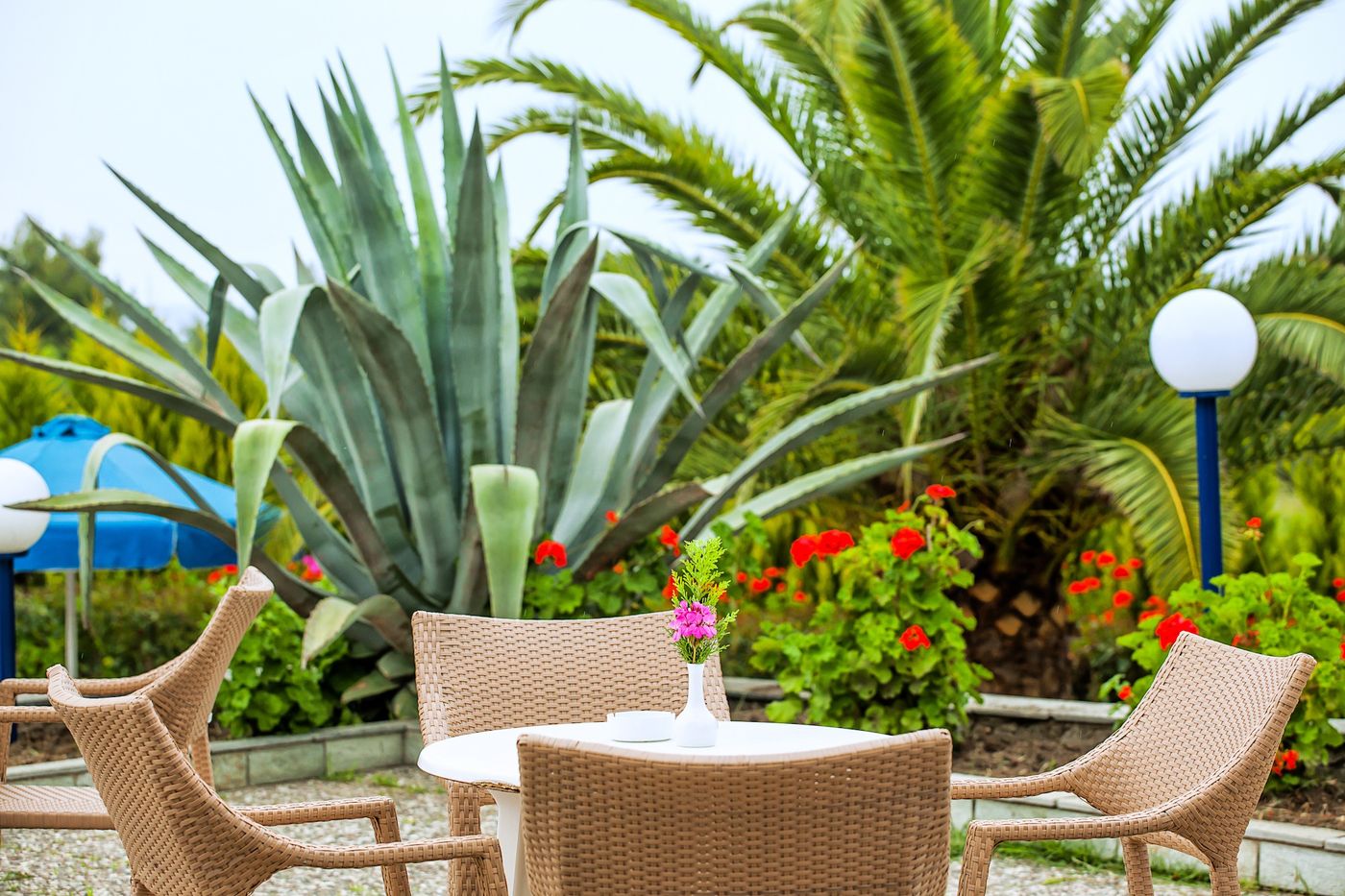 Port-Marina-Terrace-13