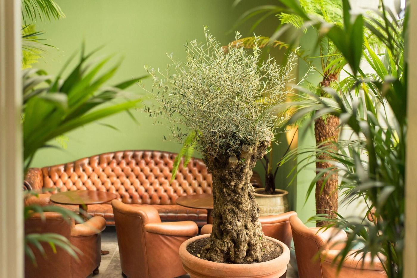 Cahernane House-Ireland-Killarney-General view-6