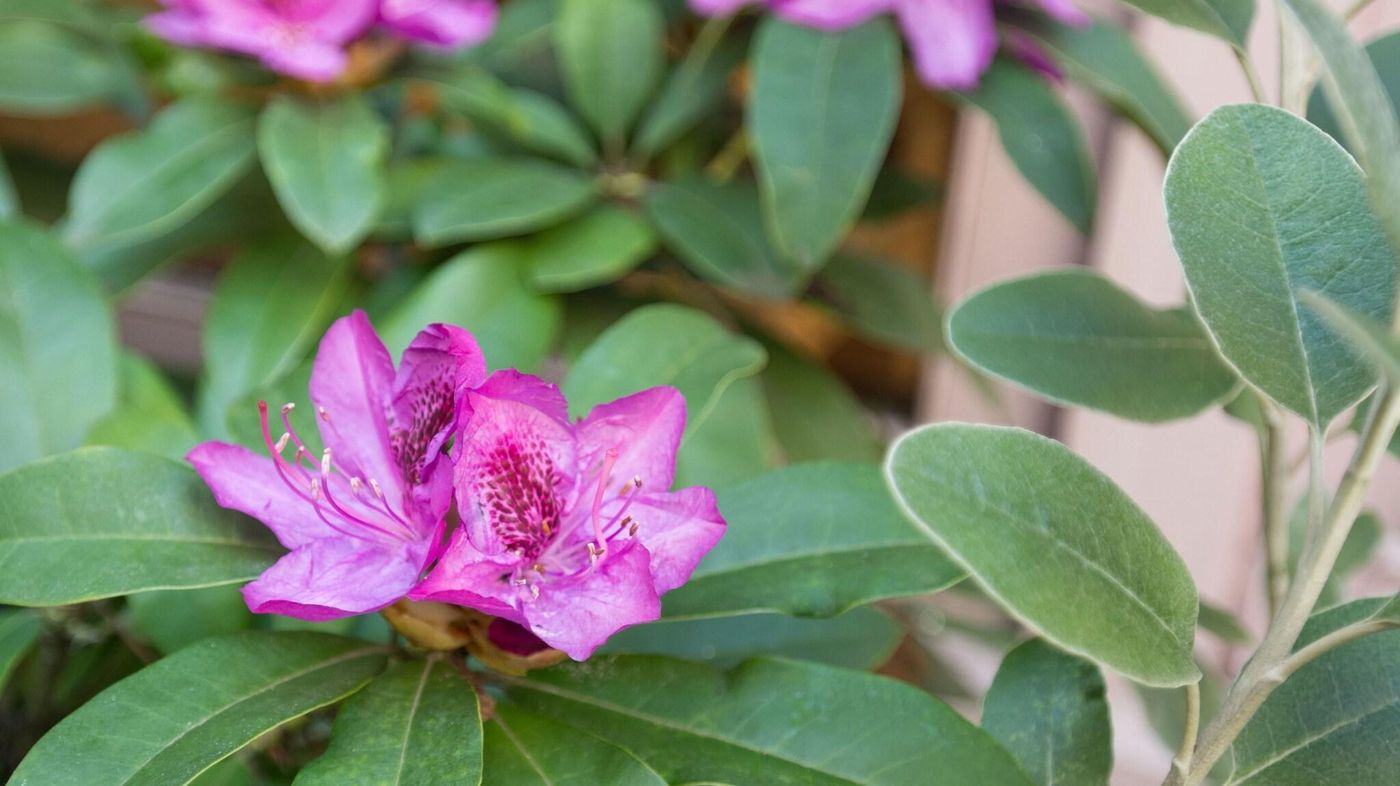 The Inn at Virginia Mason-United States-Seattle -General view-3