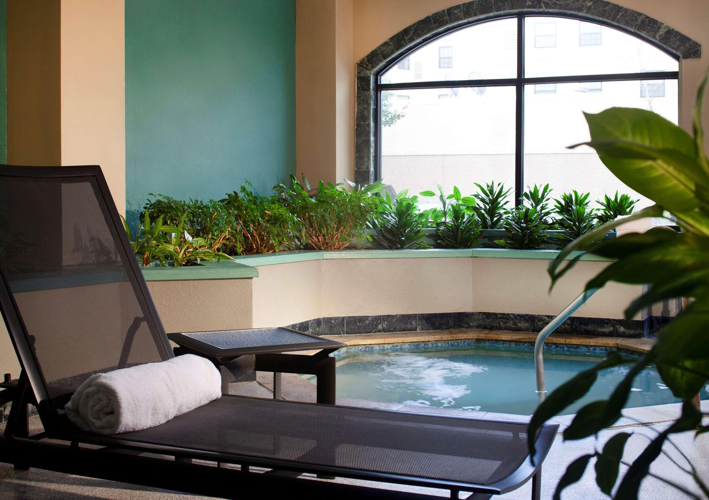 Embassy Suites By Hilton Houston Near The Galleria-United States-Houston-General view-6