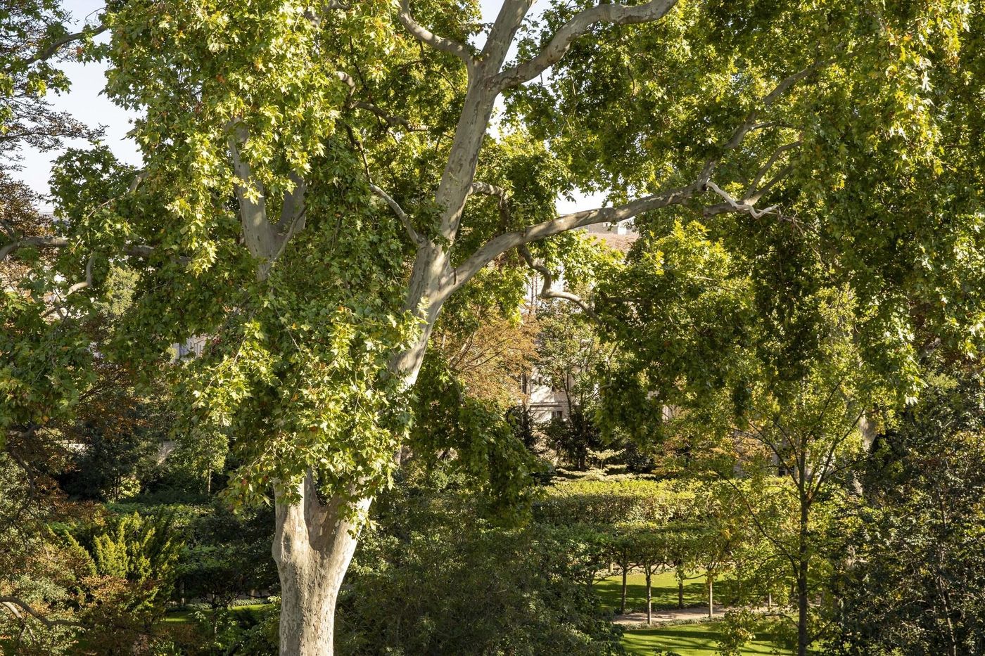 De-Suede-Saint-Germain-General-view-21