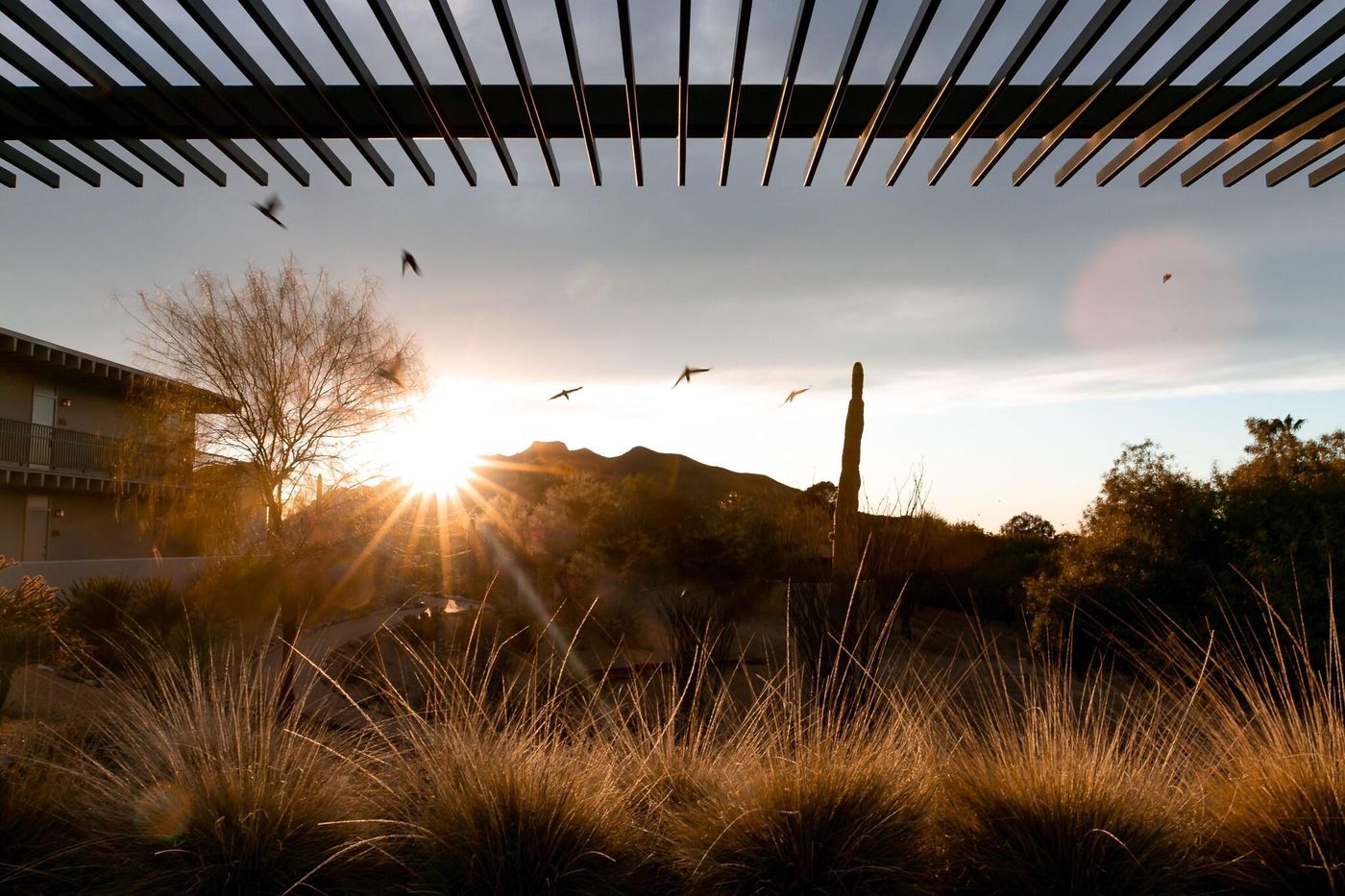 Civana Carefree-United States-Carefree-General view-8