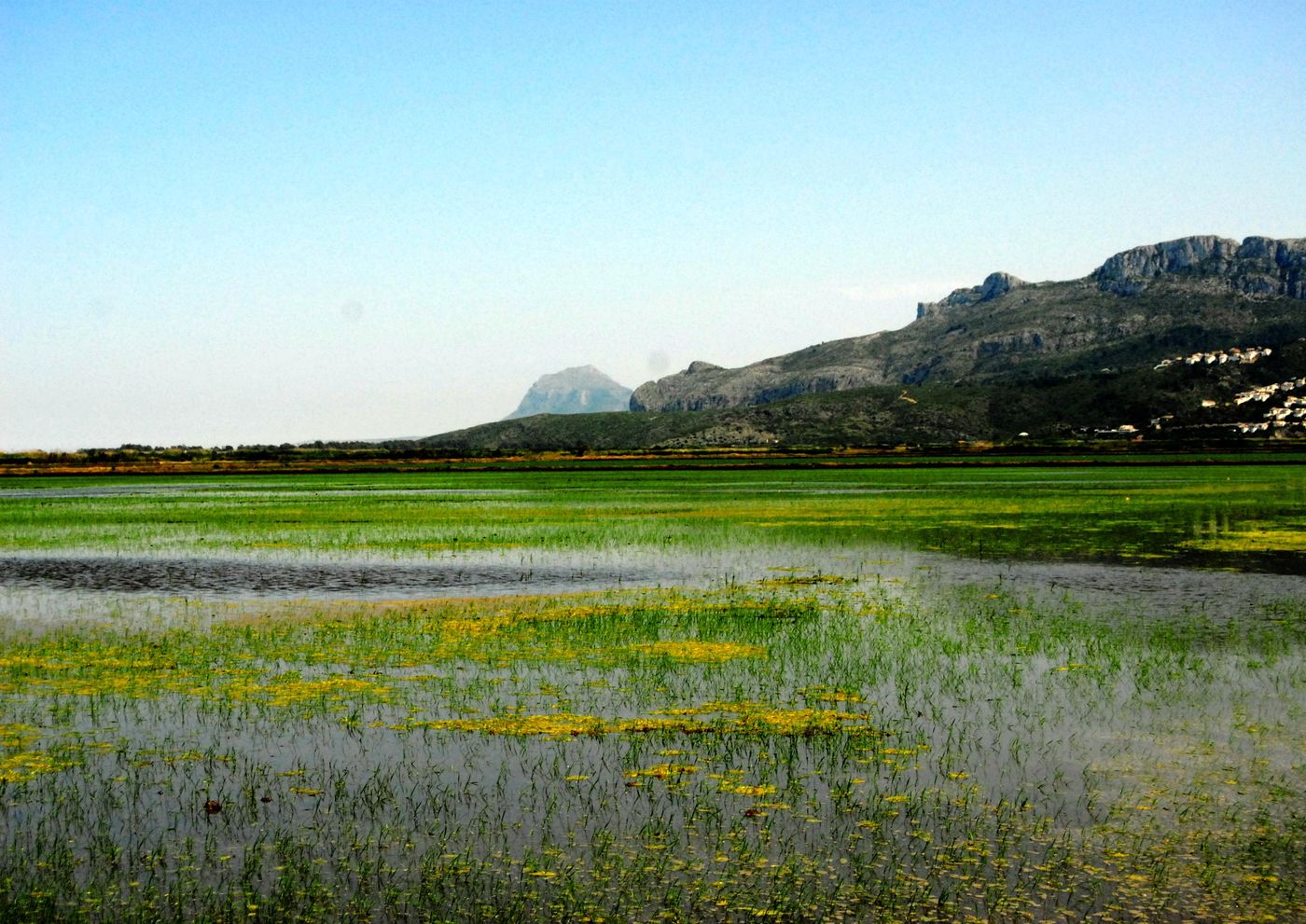 Bellavista-Residential-General-view-78