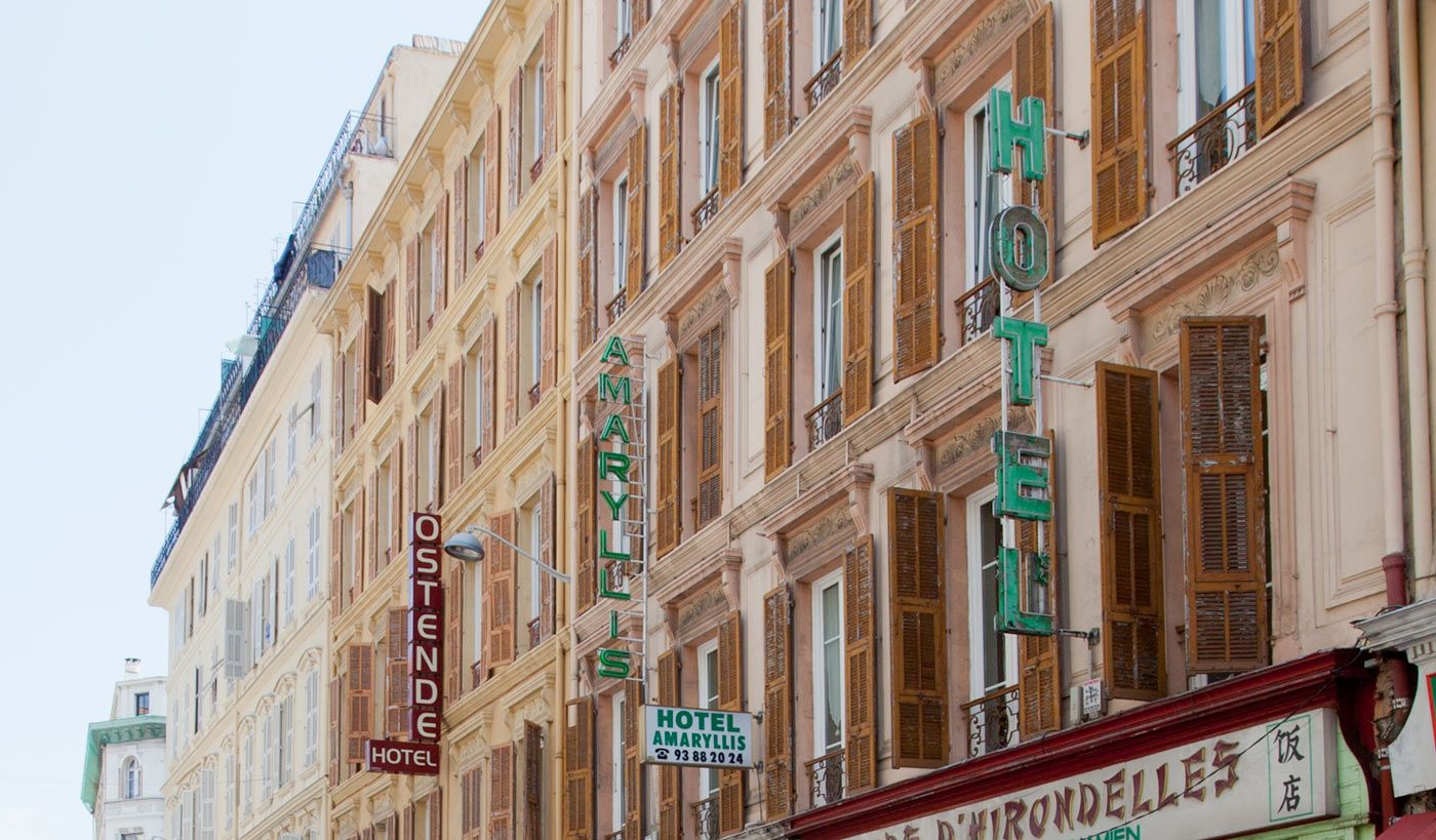 Amaryllis-General-view-1