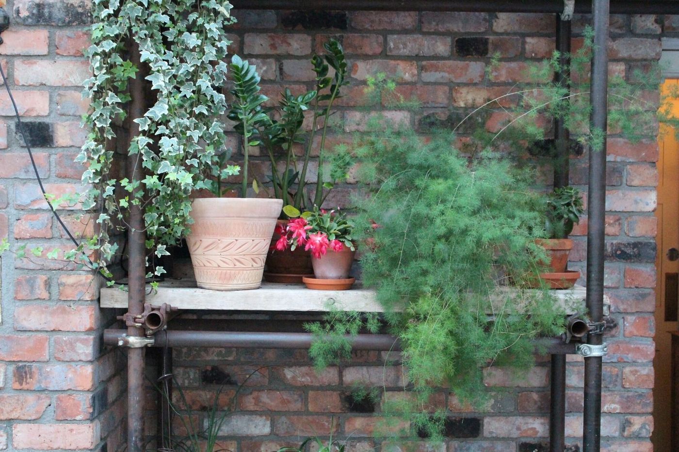 House Dublin-Ireland-Dublin-General view-4