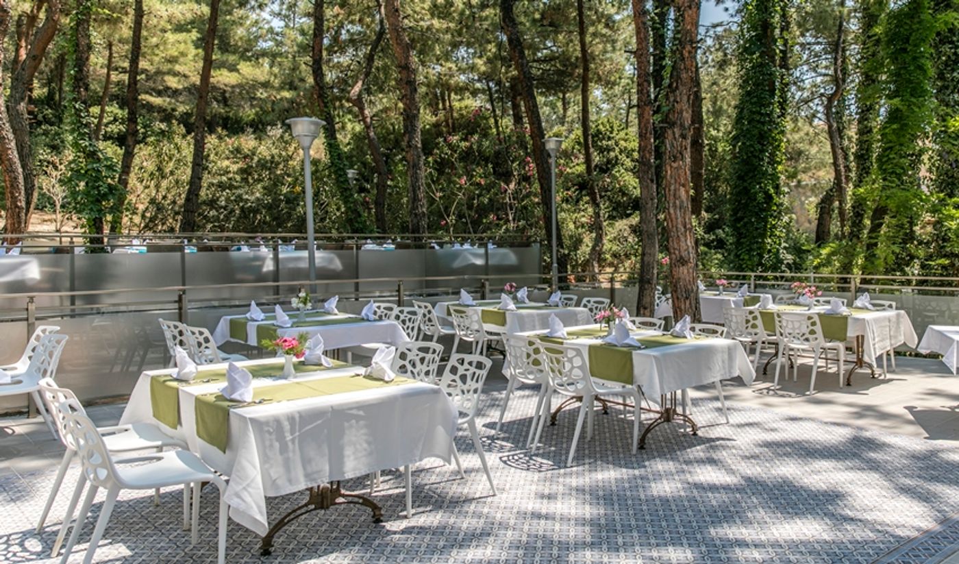 Pine Club Boutique Hotel & Spa