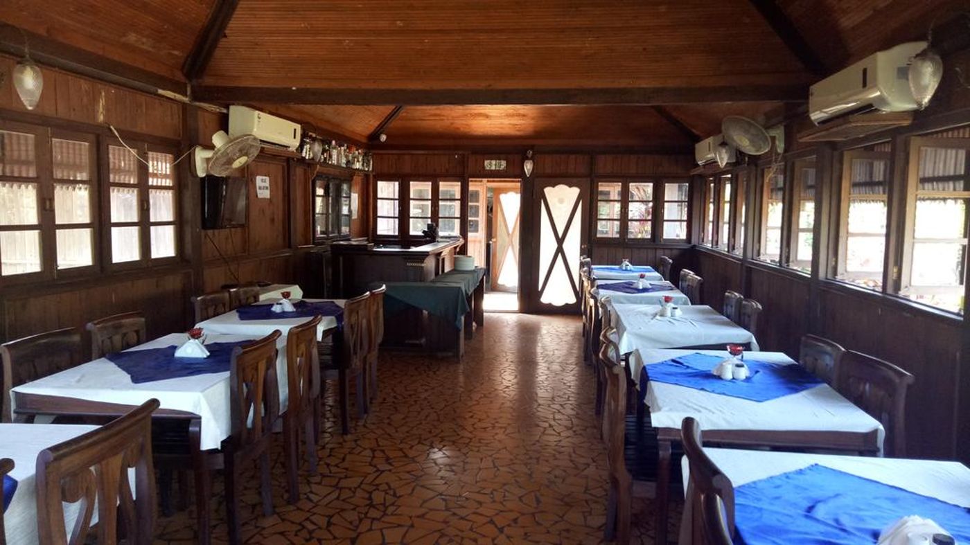 Primo Bom Terra Verde