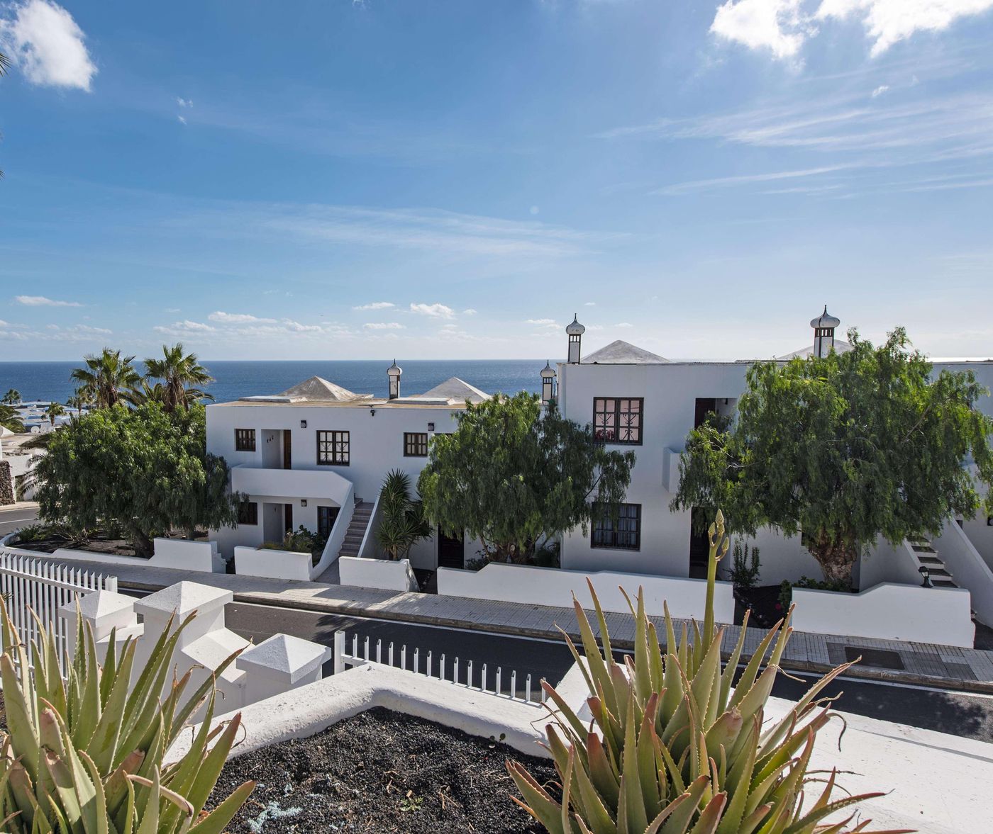 THB-Flora-General-view-13