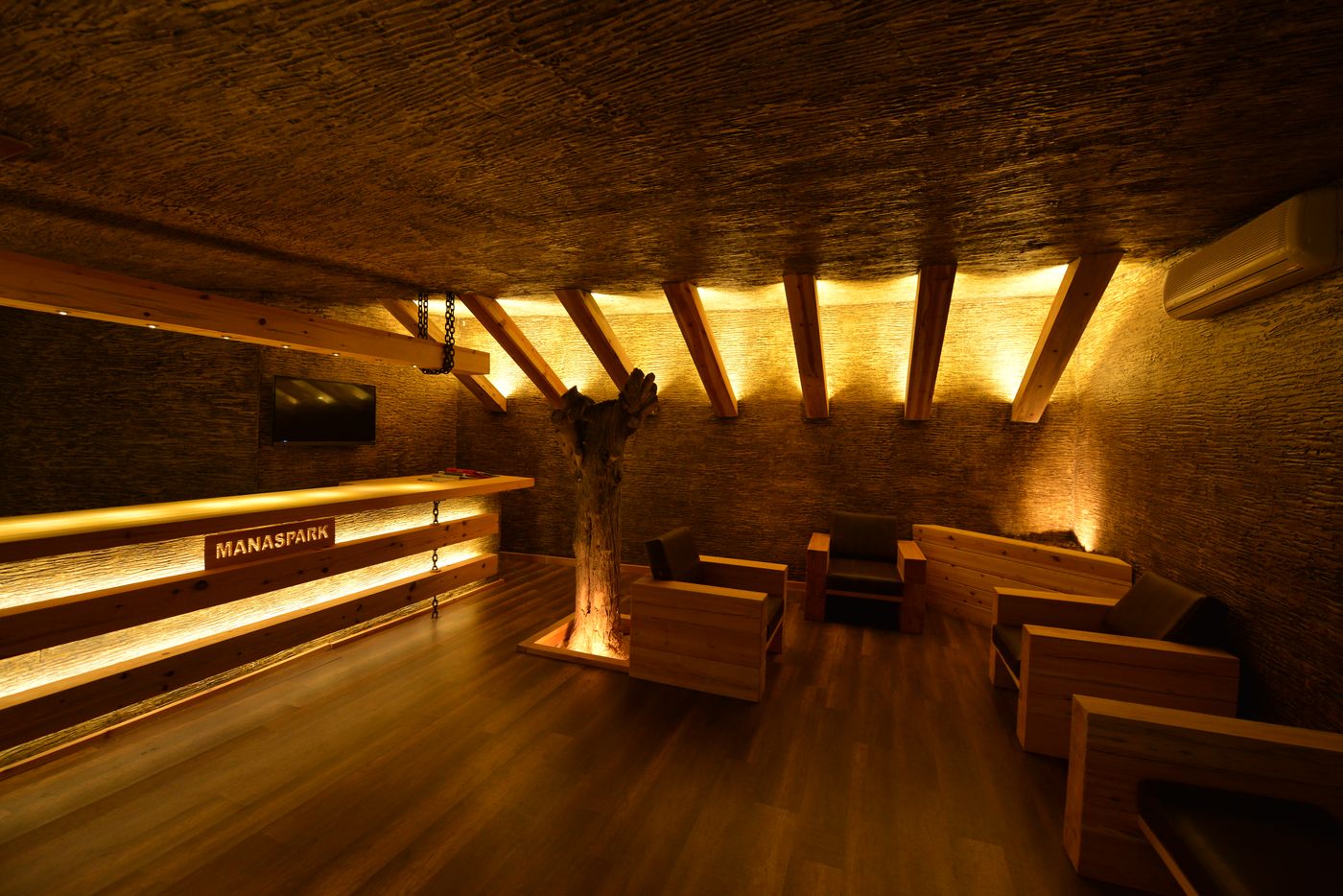 Manaspark-Deluxe-Hotel-Lobby-55