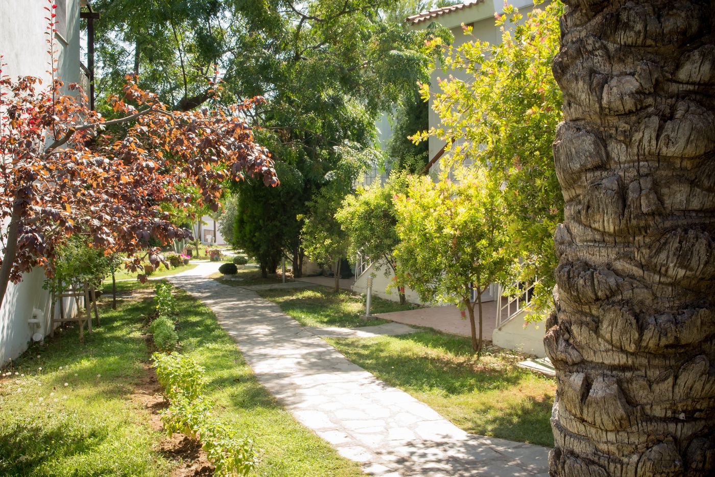 Coral-Blue-Beach-General-view-31