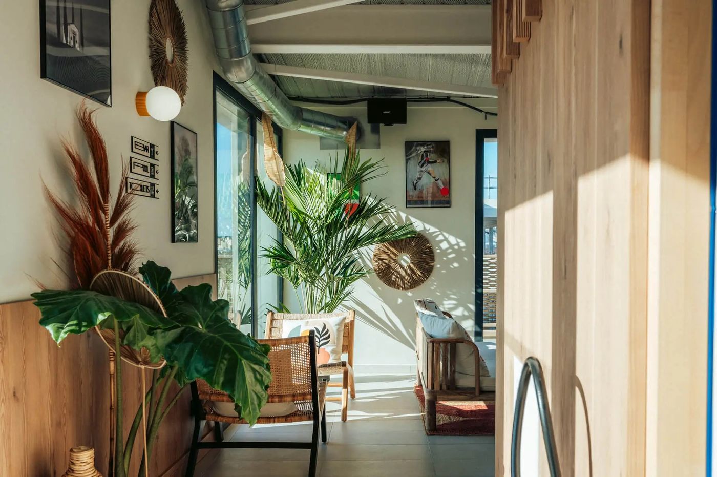 Jost Montpellier - France - MONTPELLIER - Terrace - 7