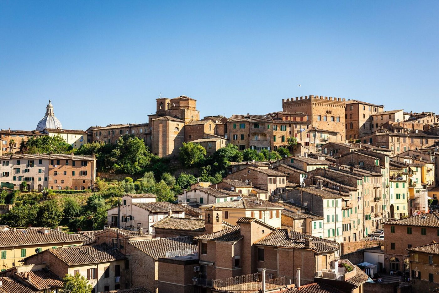 Minerva-General-view-1