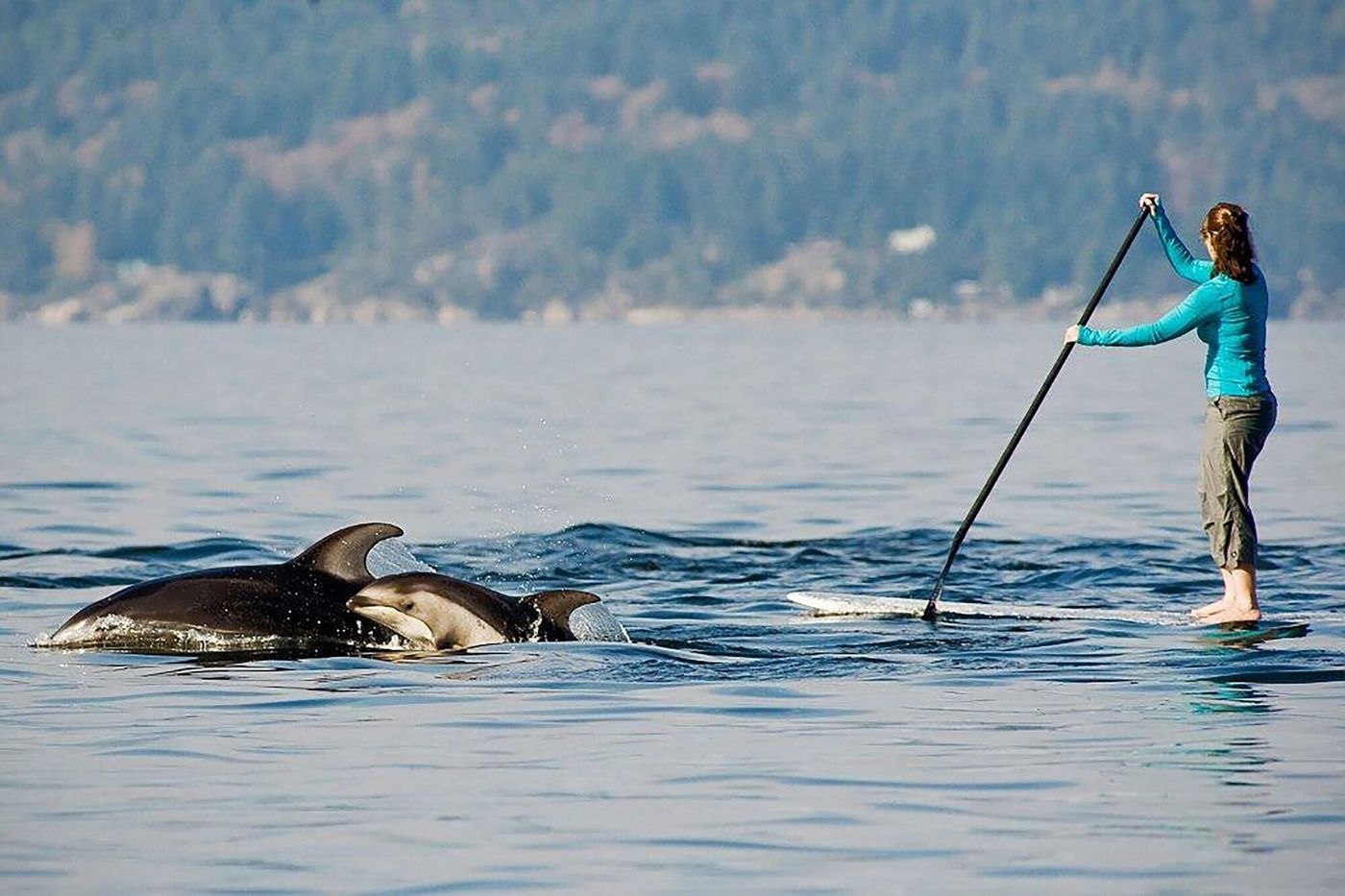 Delta-Hotels-By-Marriott-Vancouver-Downtown-Suites-Sports-and-Entertainment-61