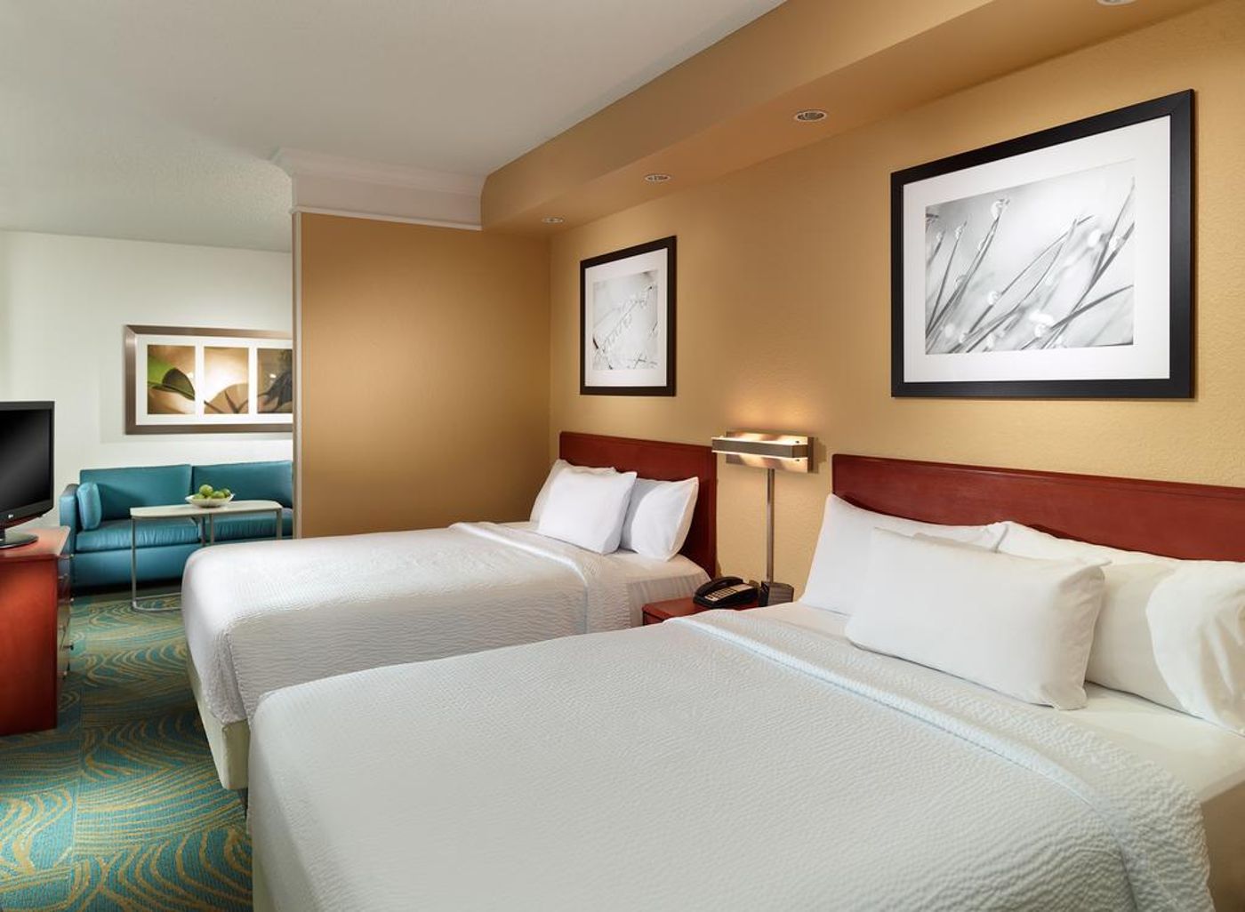 Springhill Suites By Marriott Atlanta Buckhead-United States-Atlanta-General view-3