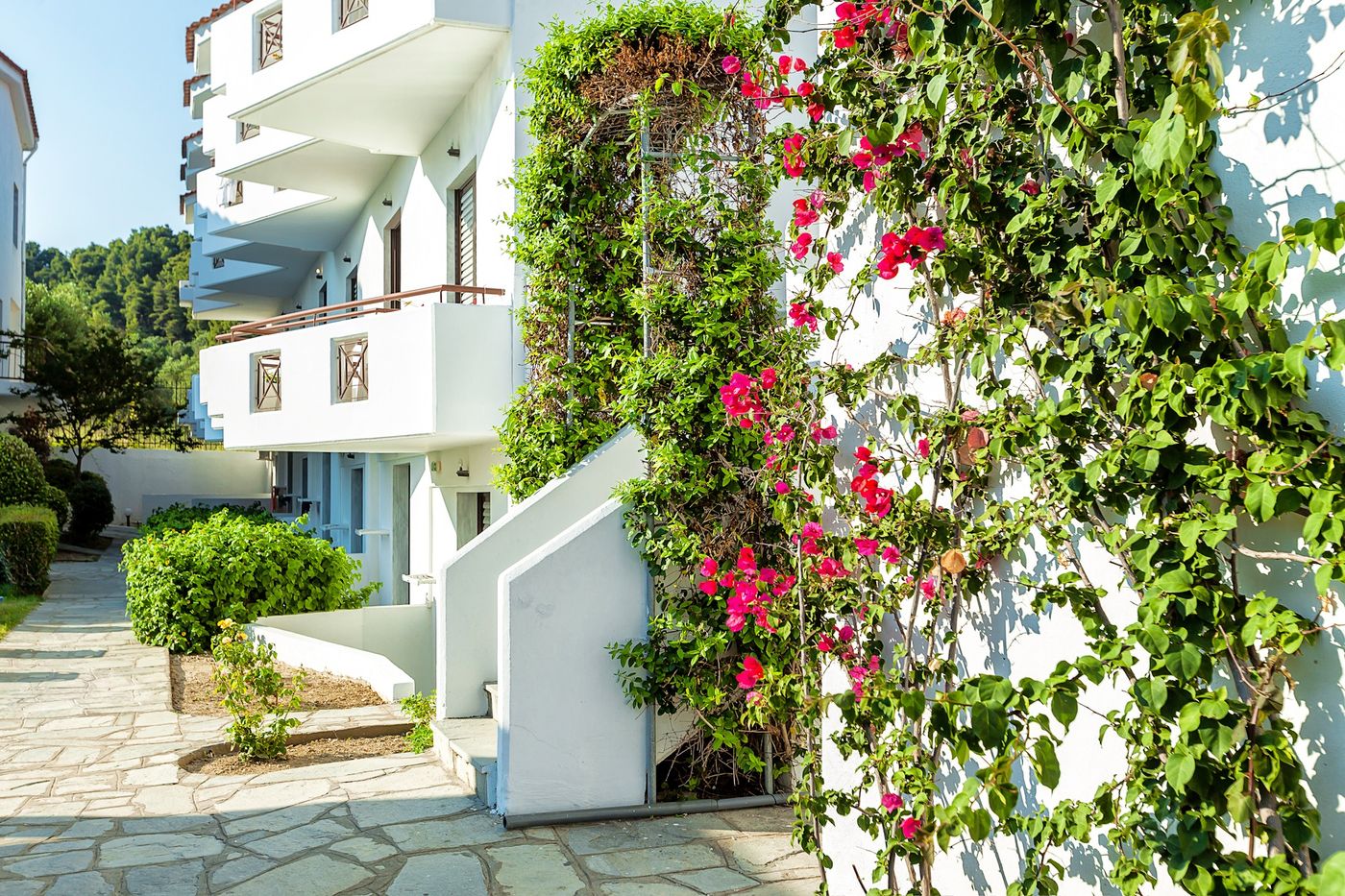 Dolphin-Beach-Hotel-Terrace-7