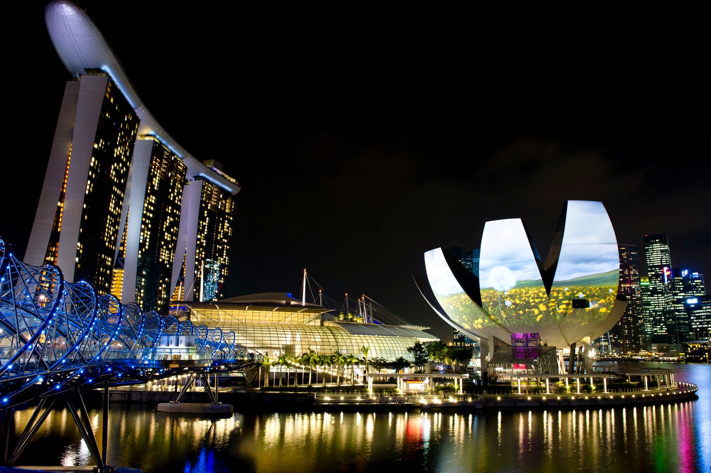 Marina Bay Sands - Singapore - SINGAPORE - General view - 4