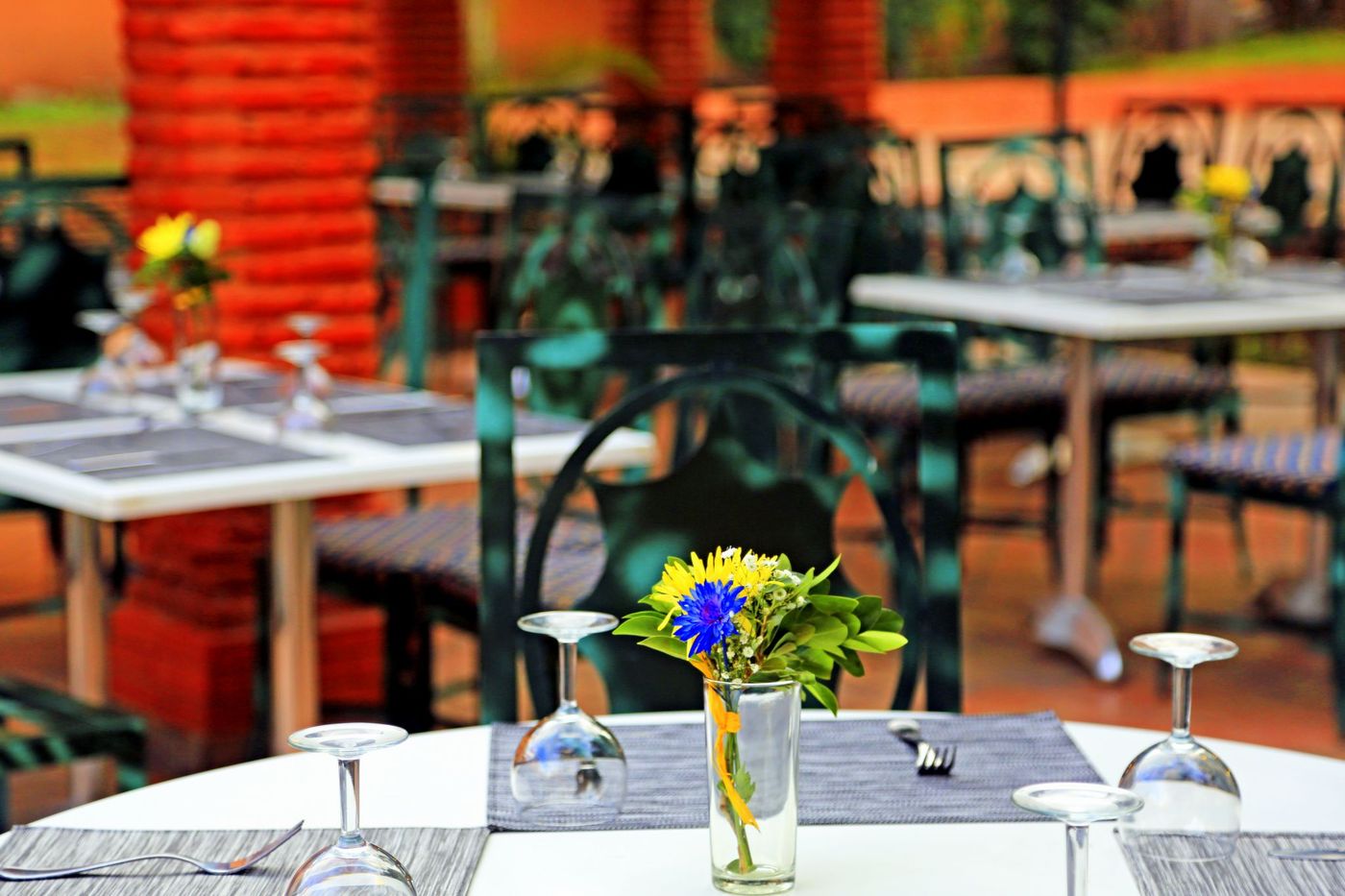 Rose-Aqua-Parc-Bar-22