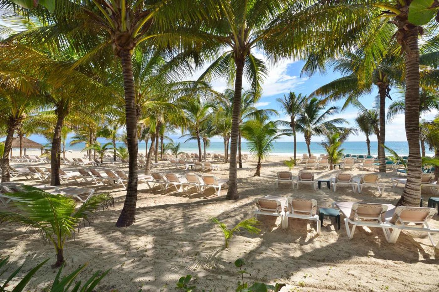 Catalonia Playa Maroma