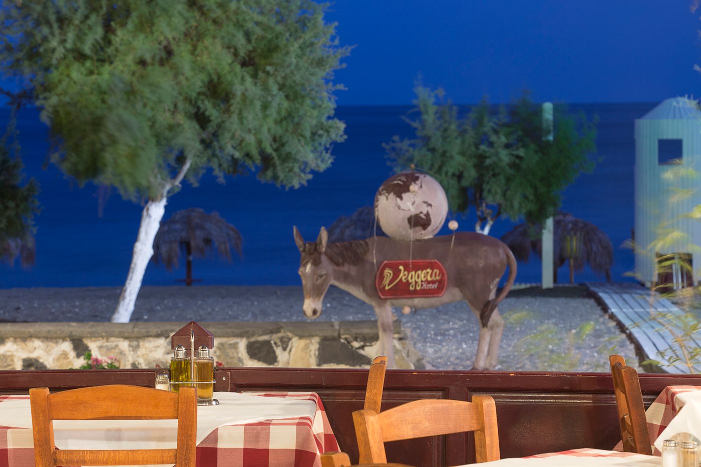 Veggera-Restaurant-20