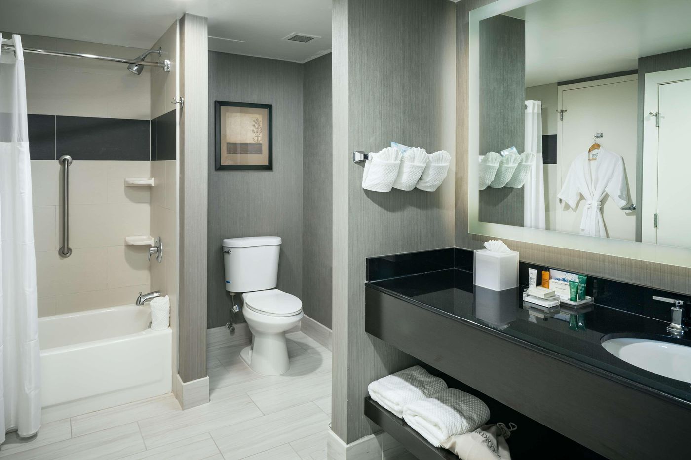 Hilton Brentwood/Nashville Suites-United States-BRENTWOOD-Room-7