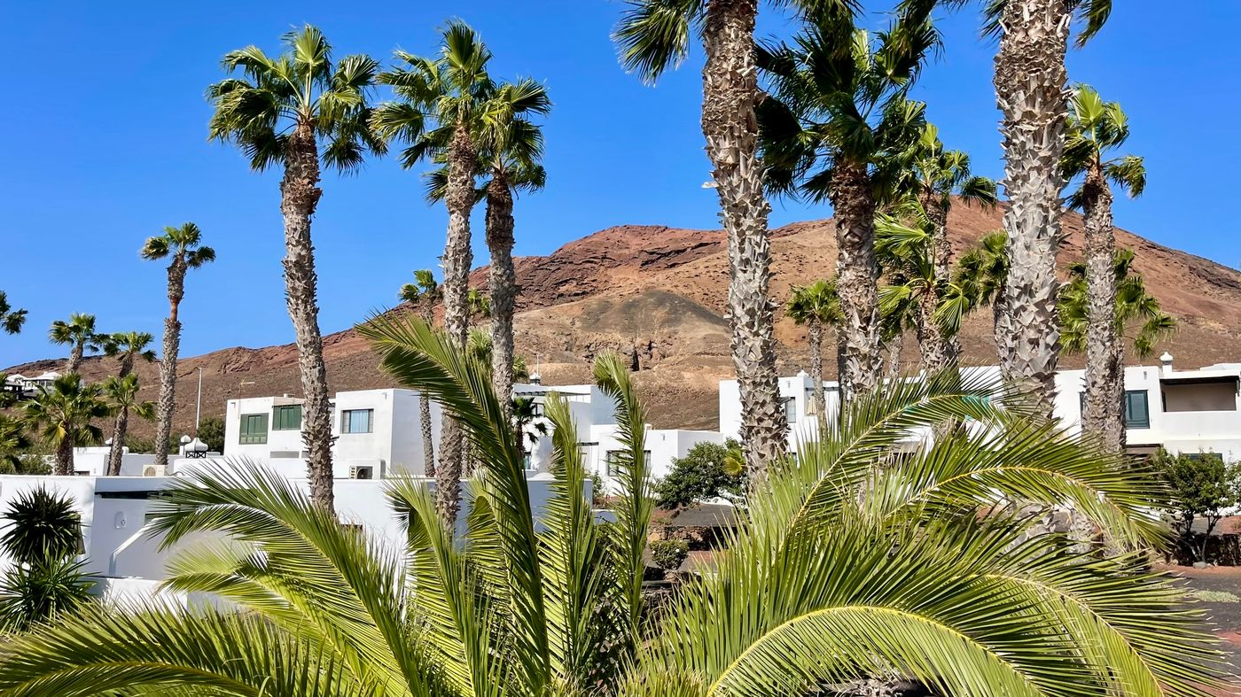 Palmeras-Garden-General-view-8