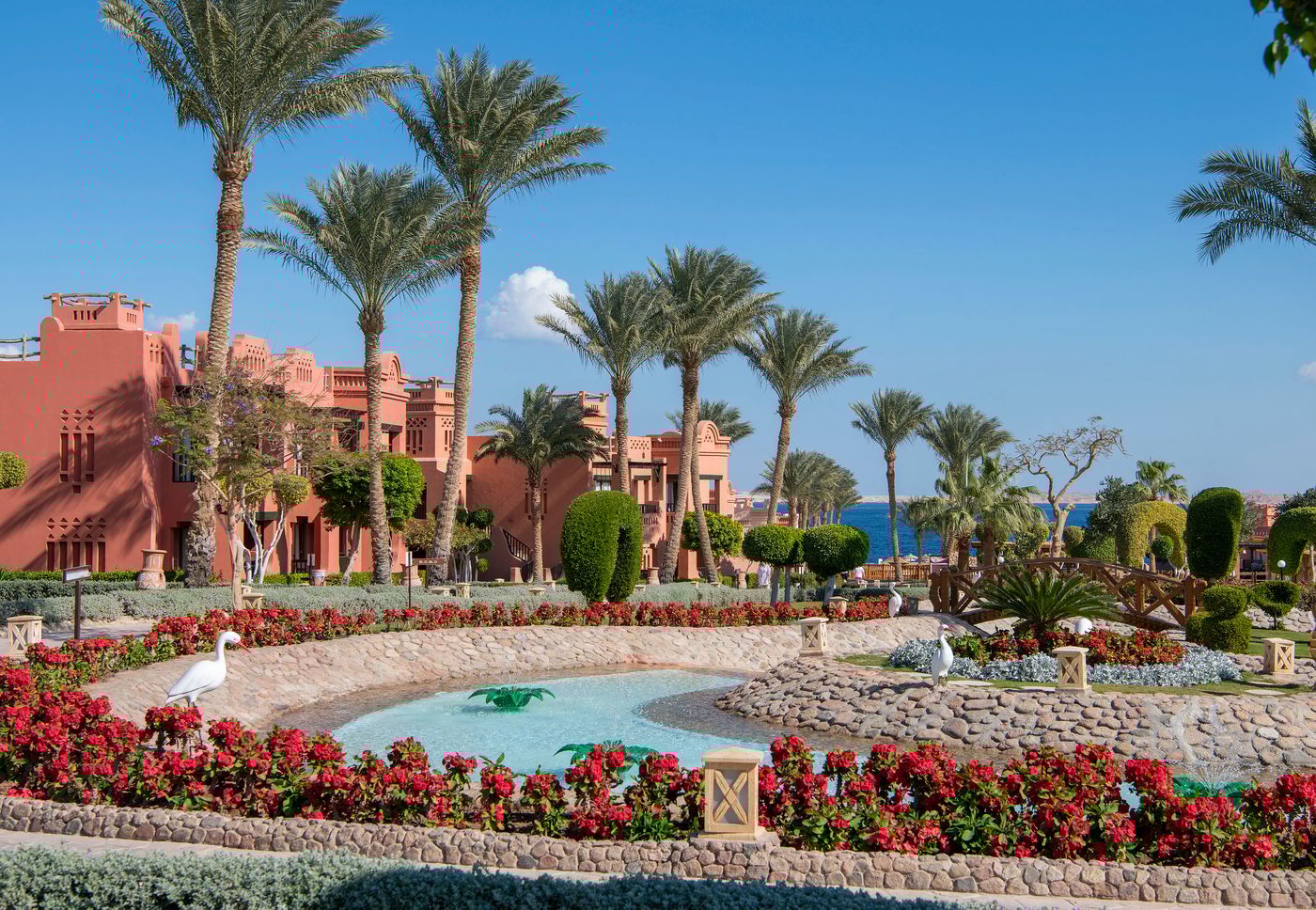 Charmillion Sea Life Sharm